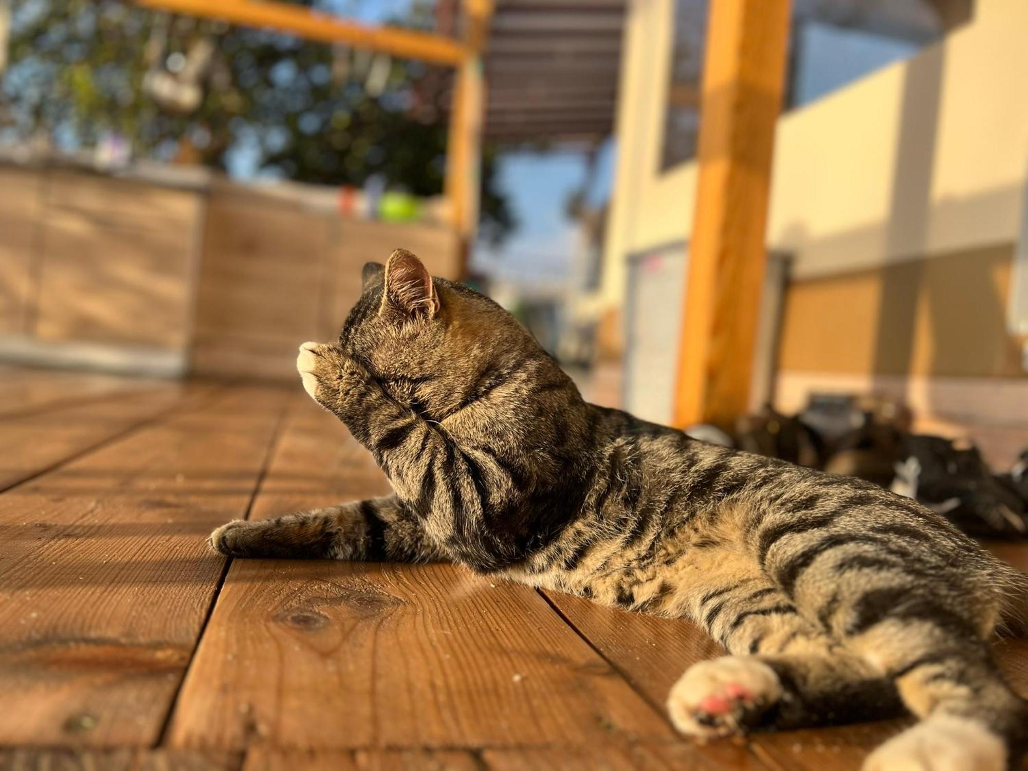 Karavana Tropicana Varna Dış mekan fotoğraf